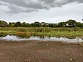 Oussudu Lake Birds Sanctuary IMG 20180610 182432265 HDR.jpg