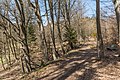 * Nomination Forest trail on Rumpeleweg in Leonstein, Pörtschach, Carinthia, Austria -- Johann Jaritz 02:49, 13 April 2021 (UTC) * Promotion  Support Good quality. --XRay 03:50, 13 April 2021 (UTC)