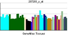 PBB GE NR1I2 207203 s ĉe tn.png