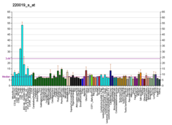 PBB GE ZNF224 220019 s at fs.png