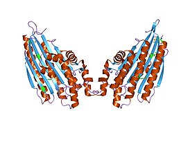 копропорфириноген III оксидаза из leishmania major.