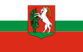 POL The official flag of the City of Lublin.svg