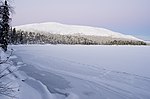 Miniatuur voor Nationaal park Pallas-Yllästunturi