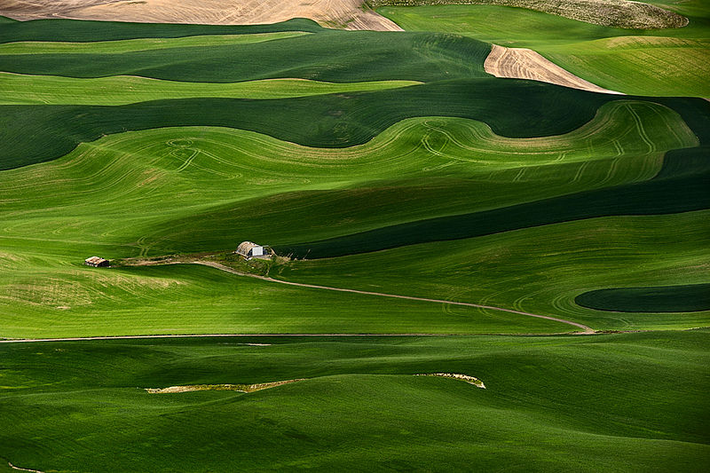 File:Palouse.jpg