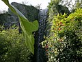 Dans l'archipel aux lémuriens