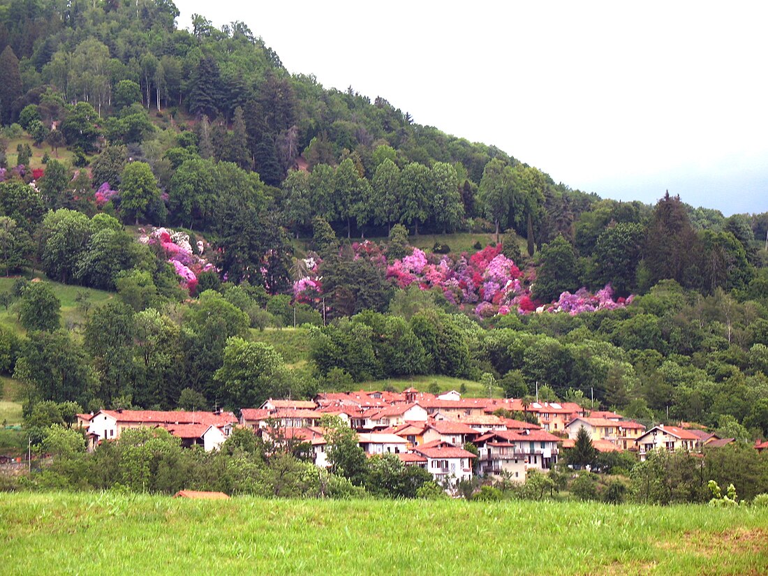 Riserva naturale del Parco Burcina Felice Piacenza