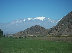 Chevaux broutant dans le parc national El Leoncito avec au loin les hautes Andes enneigées.