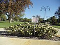 Peace Memorial Rose Gardens, Nedlands, Western Australia