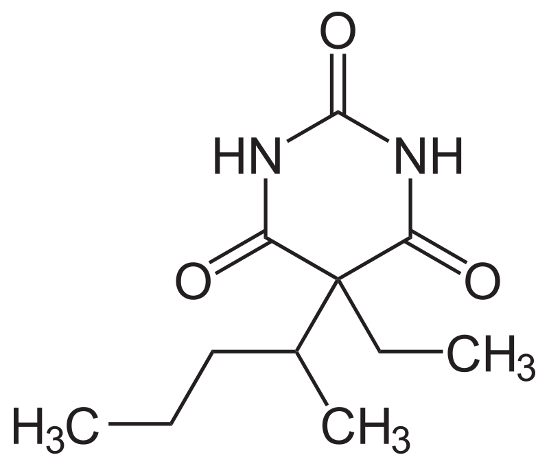 Michelangelo Smelte Dental Pentobarbital - Wikipedia, den frie encyklopædi