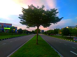 Persiaran Springhill, the main thoroughfare of the township