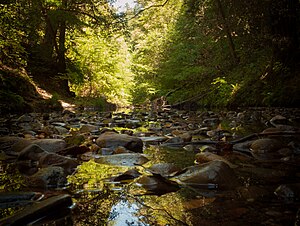 Pescadero Creek (7722271530).jpg