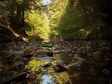 Pescadero Creek (7722271530)