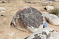 * Nomination Petroglyph Museum of Cholpon-Ata, Kyrgyzstan. The petroglyph depicts an ibex. --Bgag 00:31, 17 January 2024 (UTC) * Promotion  Support Good quality.--Tournasol7 05:11, 17 January 2024 (UTC)