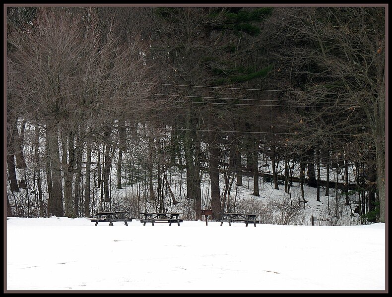 File:Picnic Tables at Frances Slocum State Park.jpg