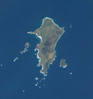 Pitt Island Island of the Chatham Islands archipelago in New Zealand