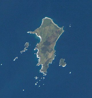 <span class="mw-page-title-main">Pitt Island</span> Island of the Chatham Islands archipelago in New Zealand