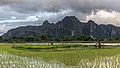 * Nomination Planted paddy field with men at work and mountains of Vang Vieng, Vientiane Province, Laos, during the monsoon. --Basile Morin 12:41, 19 July 2020 (UTC) * Promotion Good quality -- Spurzem 14:45, 19 July 2020 (UTC)