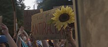 A demonstrator in Portland, Oregon, carrying a sunflower, July 24, 2020 Portland Untitled 1.30.1 (50149200362).jpg