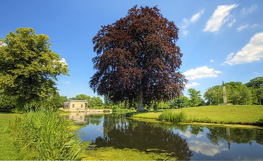 Potsdam Park Sanssouci (640522931)