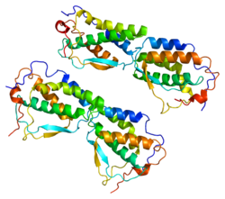 Ақуыз FLT3LG PDB 1ete.png