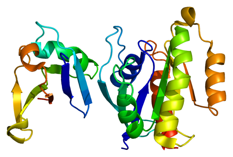 Carta carbone - Wikipedia