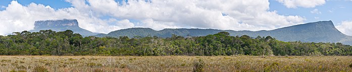 The flat, symmetrical peak of Ptari-tepui is visible on the left, with the long southwestern face of Sororopán-tepui extending to the right.