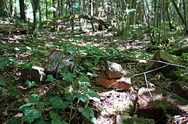 Remains of bricks.