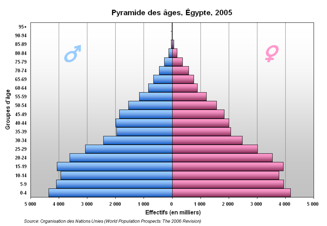 التركيبة السكانية في مصر