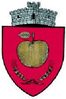 Coat of arms of Rădăşeni