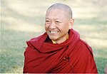 Vorschaubild für Ringu Tulku