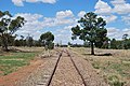 English: Rail line at Rankins Springs, New South Wales