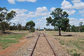 <span class="mw-page-title-main">Rankins Springs railway line</span> Former railway line in New South Wales, Australia