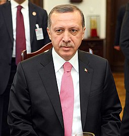 Recep Tayyip Erdoğan, Poland