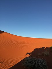 Red dune in Simpson Desert