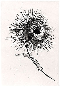 An illustration by Redon for Les Fleurs du mal by Charles Baudelaire.