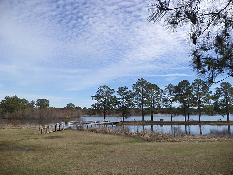 File:Reed Bingham State Park bridge to island 2.JPG