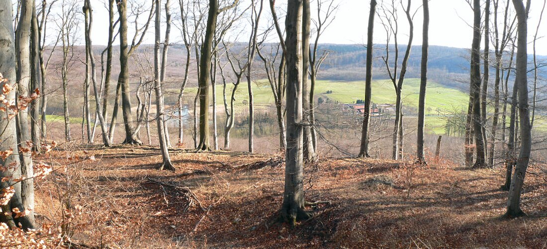 Elm-Lappwald Nature Park