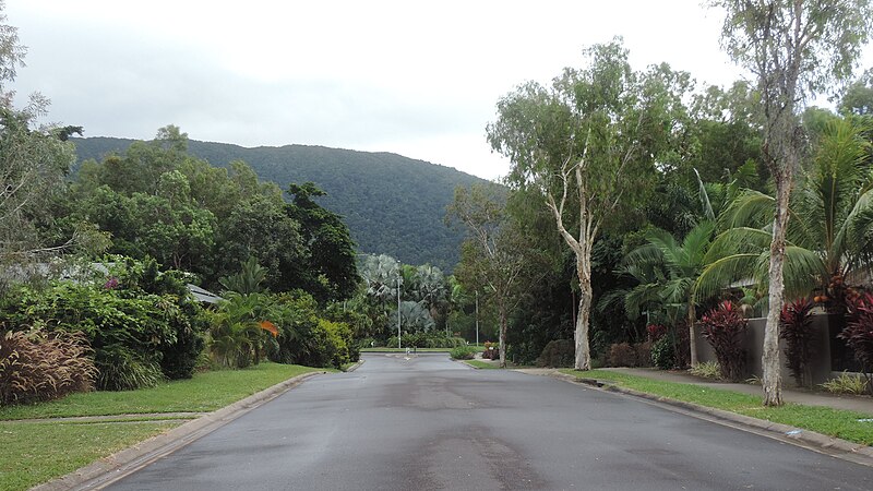 File:Residential street in Palm Cove with mountain in the background, 2018.jpg