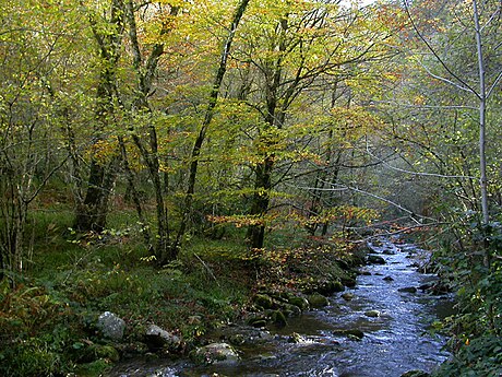 Parque natural de las Fuentes del Narcea, Degaña e Ibias