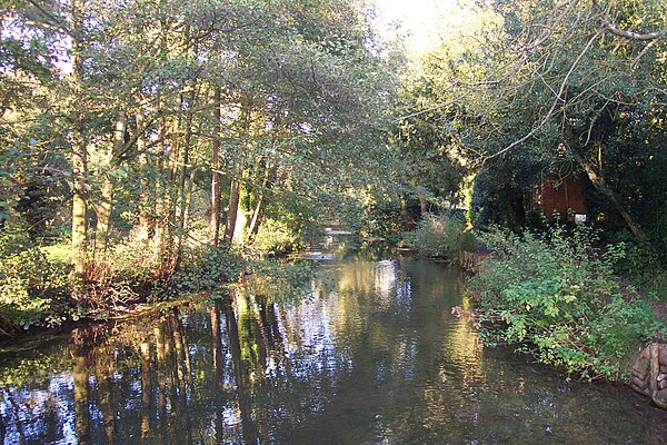 The River Pang near Bradfield College, and just upstream of the previous picture