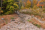 Thumbnail for Roaring Run (Bowman Creek tributary)