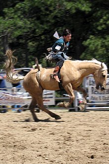 Photo d'un homme monté sur un cheval en pleine ruade.