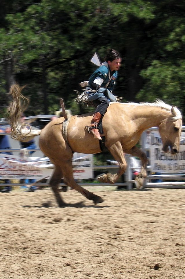 Por qué las botas para montar a caballo no son solo para jinetes