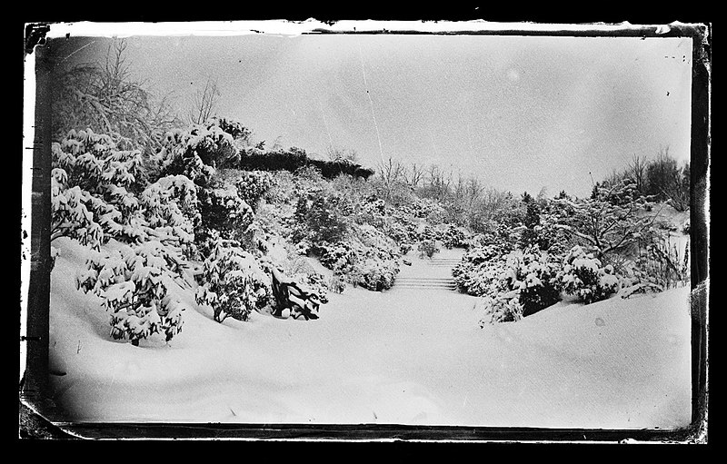 File:Rose Arbor from Below, Prospect Park, Brooklyn, ca. 1872-1887. (5833495568).jpg