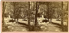 Rose Hill Cemetery, visitors' spring, circa 1877 - DPLA - 08edbf1d4cec84ac811c583a2e9f4ce8.jpg