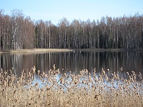 Image illustrative de l’article Saarijärvi (Kotka)