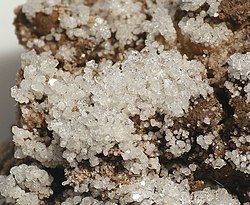 塩化アンモン石の結晶（ベルギー産）