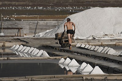 Slika:Salt field worker.JPG