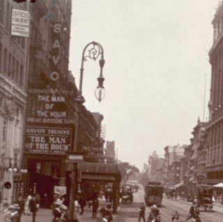 <span class="mw-page-title-main">Savoy Theatre (New York City)</span>