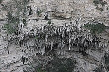 Portion of the wall of the sinkhole showing stalactites Semanaiarlij003.jpg